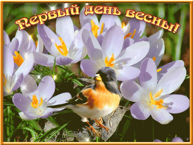 Открытка Открытки с первым днем весны - Птица на фиалке: открытка с весенним сюжетом | Красивая открытка #96