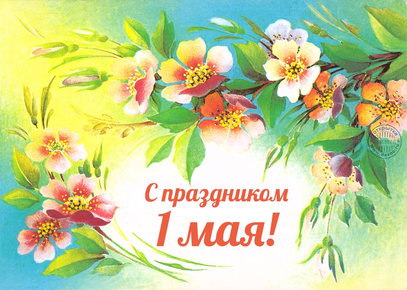 Открытка открытки на 1 мая - Открытка с цветами: 1 мая  поздравление с весной | Красивая открытка #8