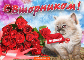 Открытка Дни недели - Открытка с котенком и розами | Красивая открытка #71