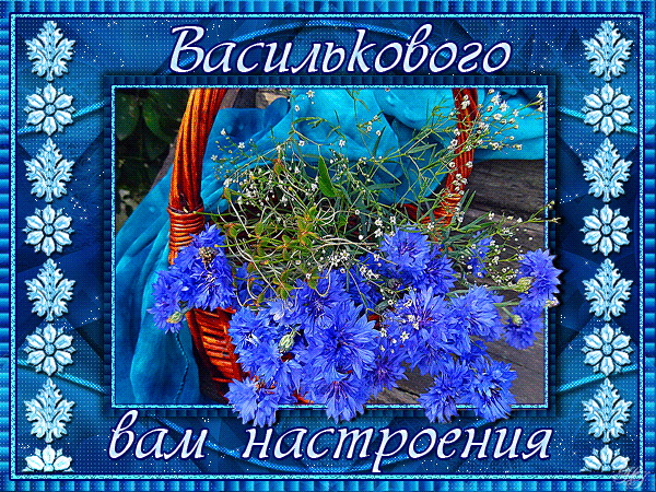 Открытка С васильками - Плетёная корзина с голубыми васильками на синем фоне | Красивая открытка #44
