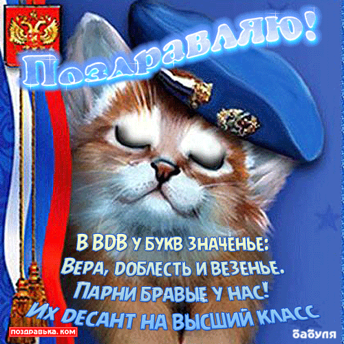 Открытка Открытки с днем ВДВ - Поздравительная открытка с котами в камуфляже | Красивая открытка #7
