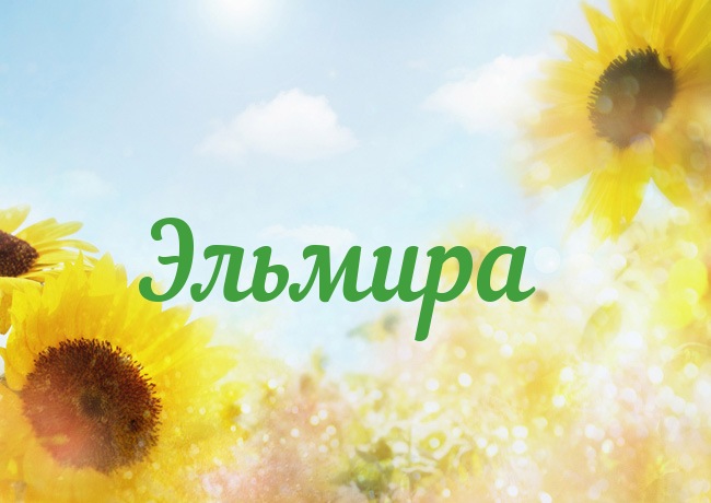 Открытка открытки с именем Эльмира - Открытка с подсолнухами на фоне голубого неба | Красивая открытка #28