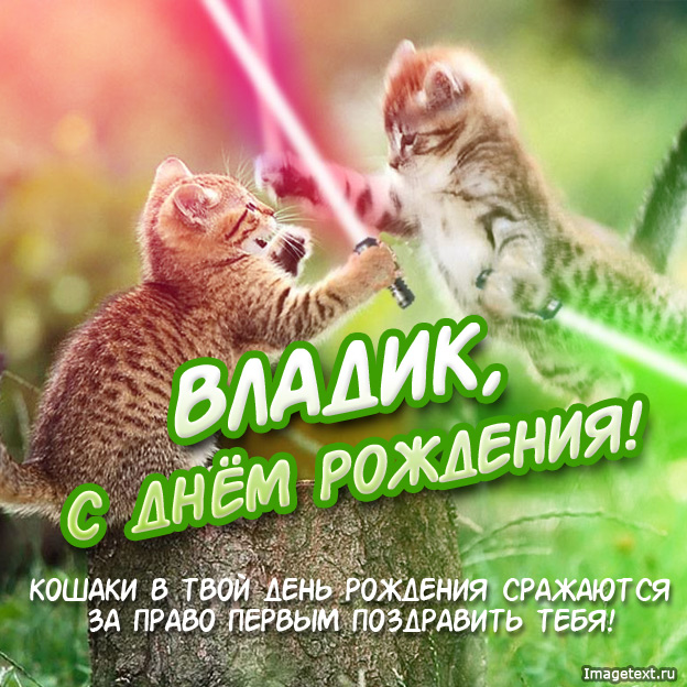 Открытка открытки с именем Владислав  - Открытка с котами: С Днём Рождения! | Красивая открытка #28