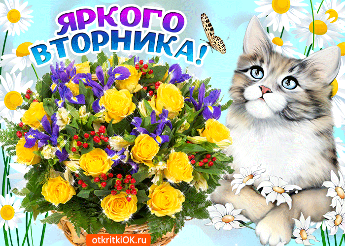 Открытка С вторником - Открытка с котенком и цветами: желтые розы и ромашки | Красивая открытка #20