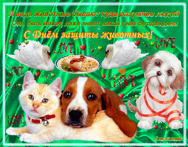 Открытка Открытки с днем защиты животных - Открытка с котенком и щенком в сердечках | Красивая открытка #21