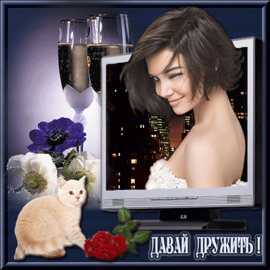 Открытка Открытки давай дружить - Открытка с девушкой, цветком и котенком | Красивая открытка #17