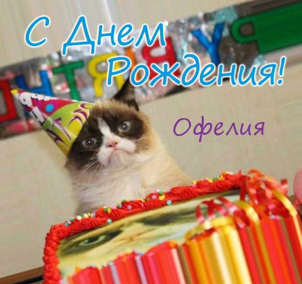 Открытка открытки с именем Офелия - Кот с тортом на день рождения - веселая открытка | Красивая открытка #3