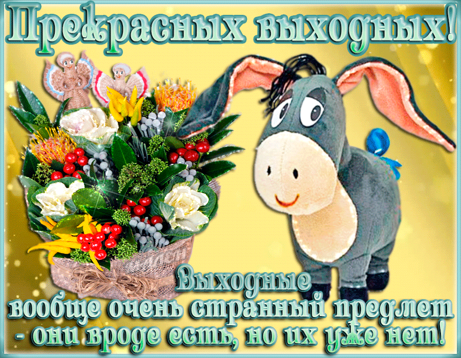 Открытка Открытки хороших выходных - Необычная открытка с эскимосом и цветами | Красивая открытка #146