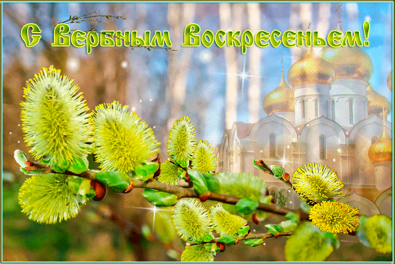 Открытка С вербным воскресеньем - Вербное воскресенье: открытка с вербой и храмом | Красивая открытка #123