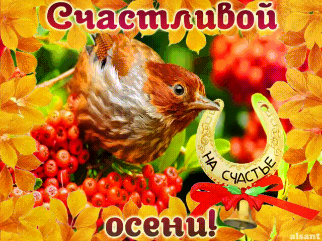 Открытка Открытки Золотая Осень  - Птица на фоне рябины: открытка с осенью | Красивая открытка #76