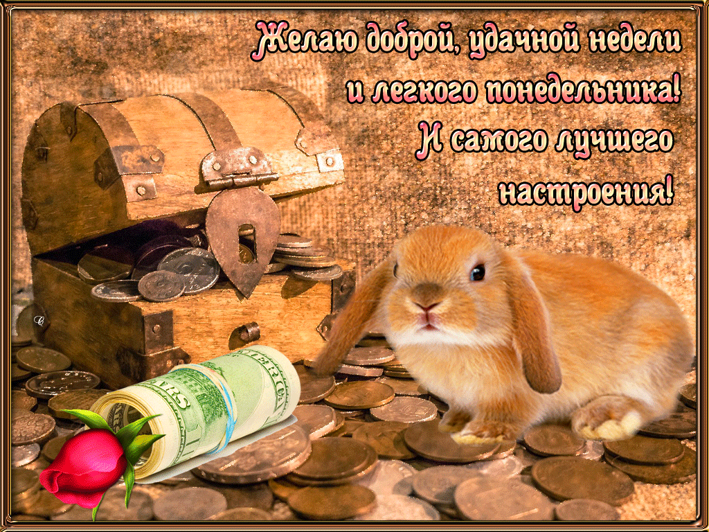 Открытка Открытки на понедельник - Зайчик с сокровищами: открытка с деньгами | Красивая открытка #92
