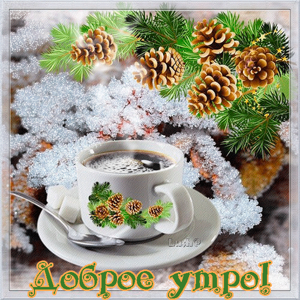 Открытка Доброе утро - Открытка с кофе и еловыми ветками | Красивая открытка #500