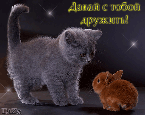 Открытка Давай дружить - Открытка с котенком и кроликом. | Красивая открытка #9