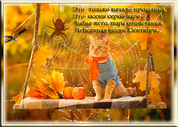 Открытка Бабье Лето - Открытка с котенком и тыквами на осенний сезон | Красивая открытка #2