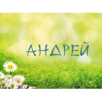 Открытка открытки с именем Андрей - Открытка с надписью «Андрей» на фоне зеленой травы и цветов | Красивая открытка #23