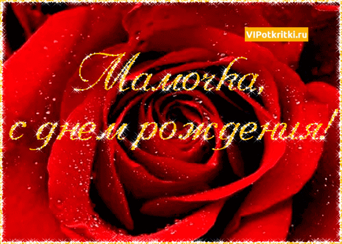Открытка С днем рождения для мамы - Красная роза: открытка с днем рождения | Красивая открытка #35