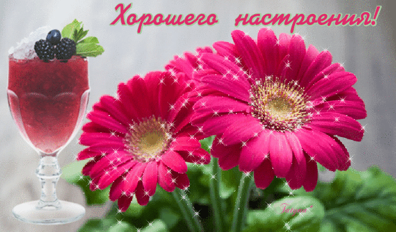 Открытка Открытки хорошего настроения - Яркая открытка: Герань и фруктовый десерт | Красивая открытка #151