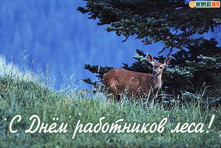 Открытка День работников леса - Открытка: День лешего. Олень в лесу. | Красивая открытка #15