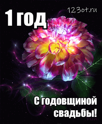 Открытка Открытки на Ситцевую свадьбу 1 год - Открытка: Пышный фиолетовый цветок на черном фоне | Красивая открытка #119