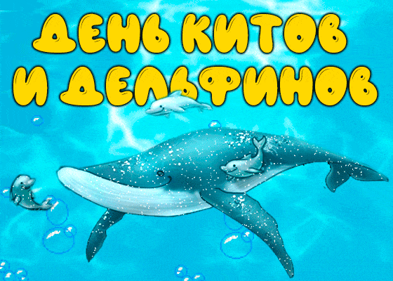 Открытка С дельфинами - Открытка с китом и дельфином | Красивая открытка #28