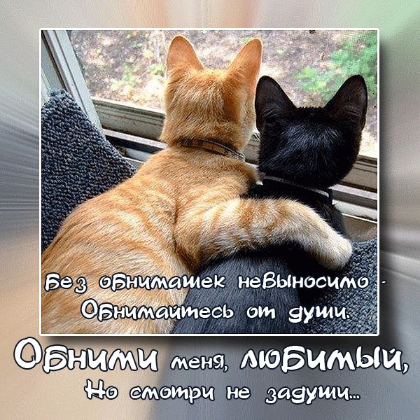 Открытка Открытки обнимаю - Две кошки, обнялись. Открытка с котиками. | Красивая открытка #35
