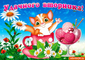Открытка Открытки на вторник - Открытка с котиком и клубничным мороженым | Красивая открытка #129