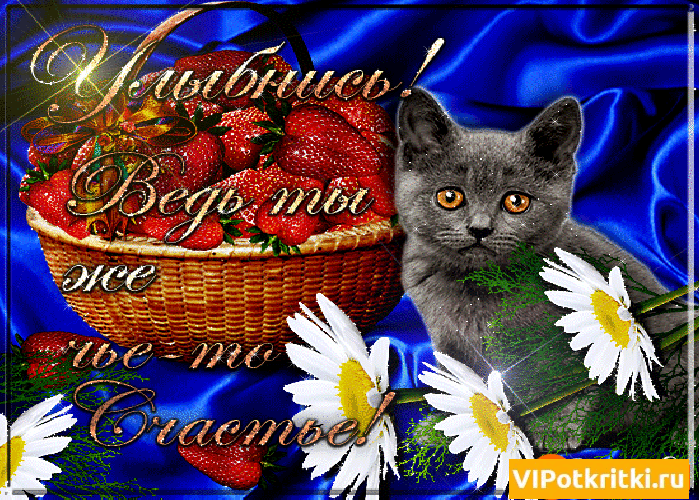 Открытка Улыбнись - Открытка с котенком и клубникой | Красивая открытка #40