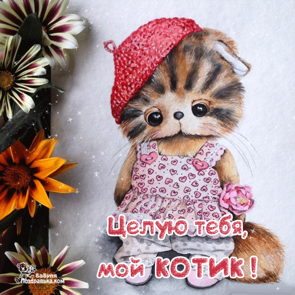 Открытка Целую - Открытка с котиком в колпачке и надписью "Целую тебя, мой котик!" | Красивая открытка #125