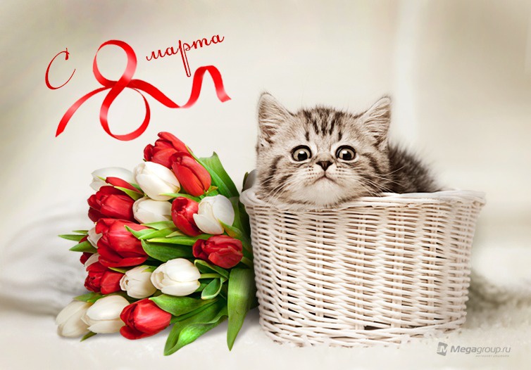 Открытка открытки на 8 марта - Открытка с котенком и тюльпанами | Красивая открытка #4