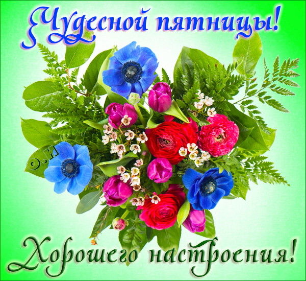 Открытка Пятница - Букет из анюток, роз и цветов. Открытка. | Красивая открытка #14