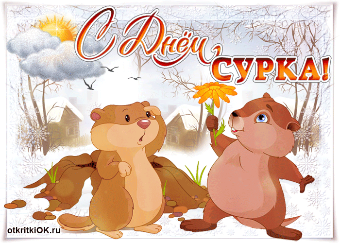 Открытка День сурка - Открытка с сурками и цветами на снегу | Красивая открытка #25