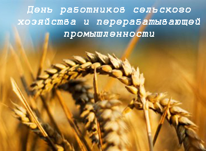 Открытка Открытки на день работников сельского хозяйства и перерабатывающей промышленности  - Злаковые колосья: открытка с полем  Праздничный дизайн | Красивая открытка #24