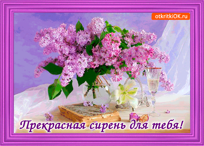 Открытка С сиренью - Открытка с сиренью и лилиями | Красивая открытка #268