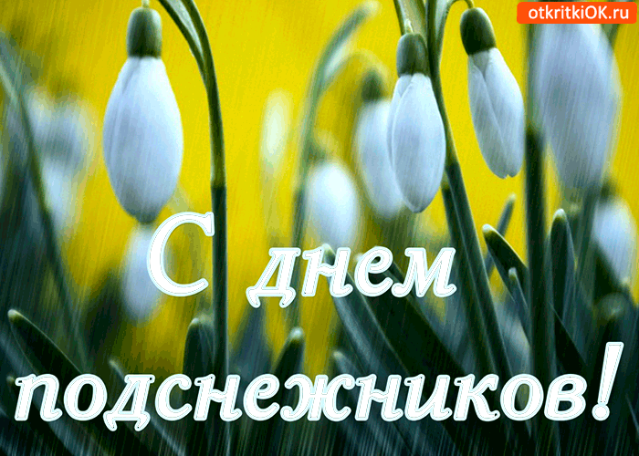 Открытка День подснежника - Открытка с подснежниками: С Днем! | Красивая открытка #6