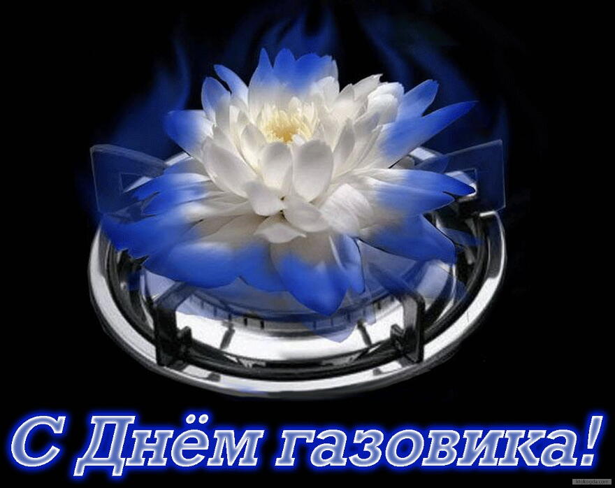 Открытка Открытки на День работников нефтяной, газовой и топливной промышленности - Открытка с цветком: нежный лотос в стеклянной вазе | Красивая открытка #26
