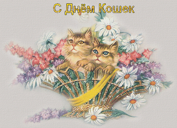 Открытка С Всемирным днём кошек - Открытка с котятами и цветами | Красивая открытка #62