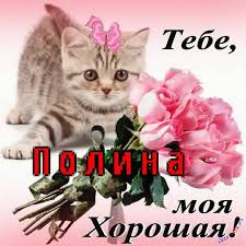 Открытка открытки с именем Полина - Котенок с розовыми розами: Открытка с милым сюрпризом | Красивая открытка #14