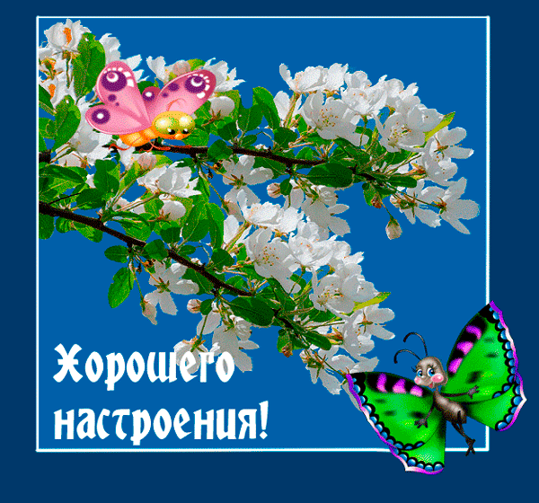 Открытка Открытки хорошего настроения - Цветущая вишня и бабочки: открытка с хорошим настроением | Красивая открытка #54