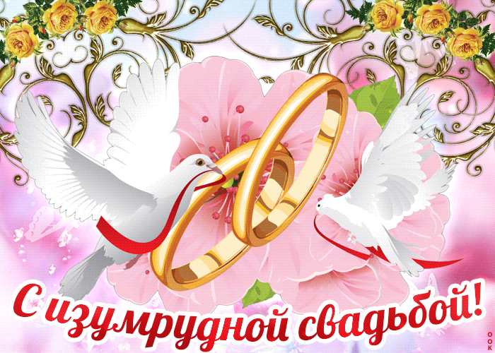 Открытка 55 лет - изумрудная свадьба - Открытка: Голуби и свадебные кольца | Красивая открытка #25