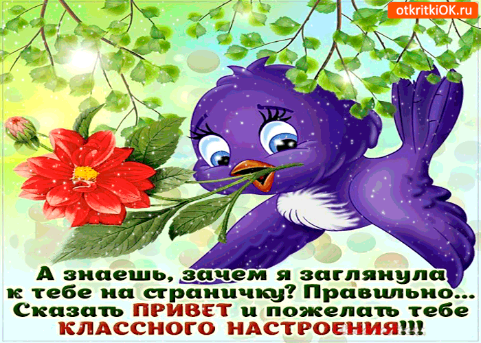 Открытка Открытки хорошего настроения - Открытка с милой птичкой и цветами | Красивая открытка #41