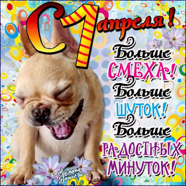 Открытка 1 апреля день смеха - Открытка с щенком: С Днем Рождения! | Красивая открытка #8