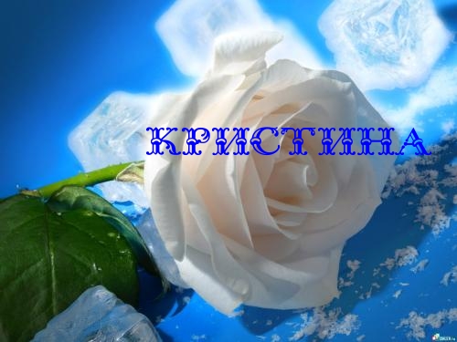 Открытка открытки с именем Кристина  - Белая роза на фоне голубого неба | Красивая открытка #14