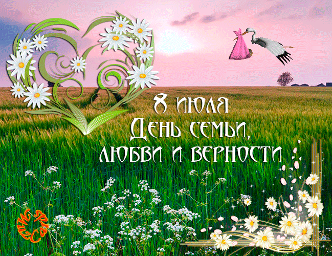 Открытка Открытки с днем семьи, любви и верности - Открытка: поле цветов, закат, лебедь | Красивая открытка #20