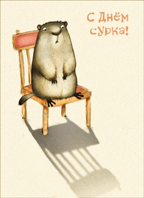Открытка Открытки с днем сурка - Открытка с бобром на стуле: оригинальное поздравление | Красивая открытка #30