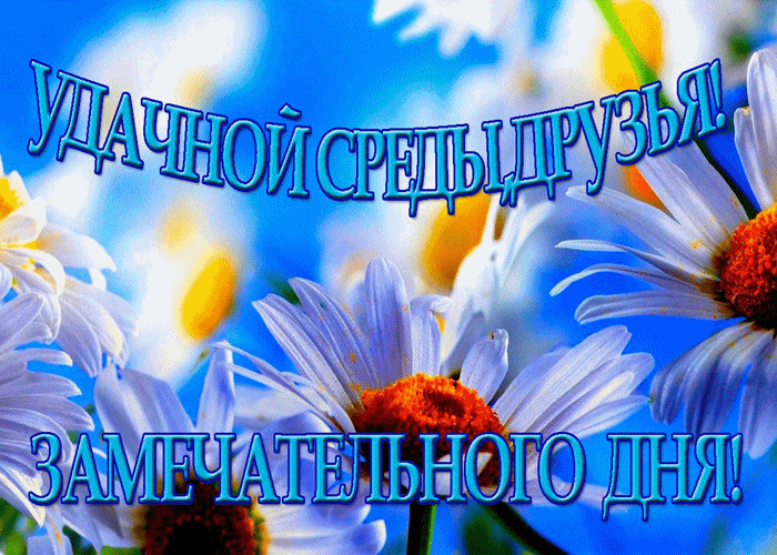 Открытка Открытки на среду - Открытка с ромашками и голубыми цветами | Красивая открытка #176