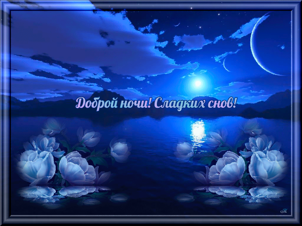 Открытка Доброй ночи - Открытка "Доброй ночи": голубые цветы, луна, море | Красивая открытка #40