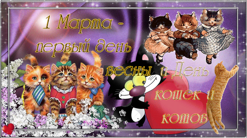 Открытка День Кошек - Открытка с котятами на 1 марта - День кошек | Красивая открытка #32