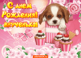 Открытка С днем рождения внучка - Открытка с щенком и пирожными | Красивая открытка #33