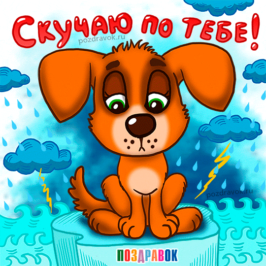 Открытка Скучаю - Открытка с щенком на фоне дождя  Поздравки | Красивая открытка #271