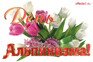 Открытка Открытки с днем альпиниста - Открытка с розовыми и белыми тюльпанами | Красивая открытка #7